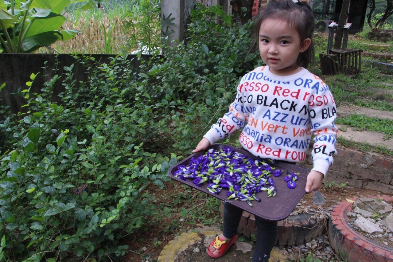Maison Teahouse Homestay ห่าซาง ภายนอก รูปภาพ