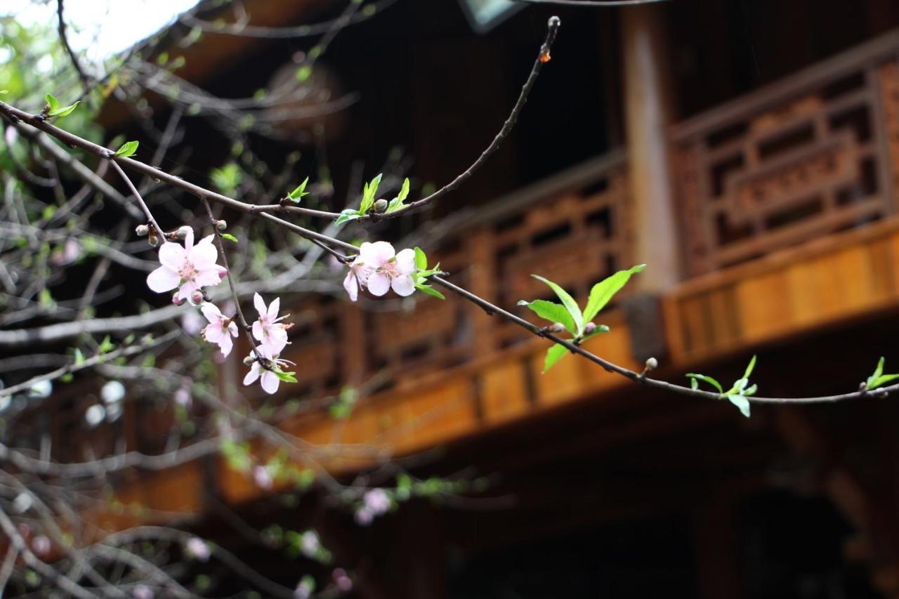 Maison Teahouse Homestay ห่าซาง ภายนอก รูปภาพ