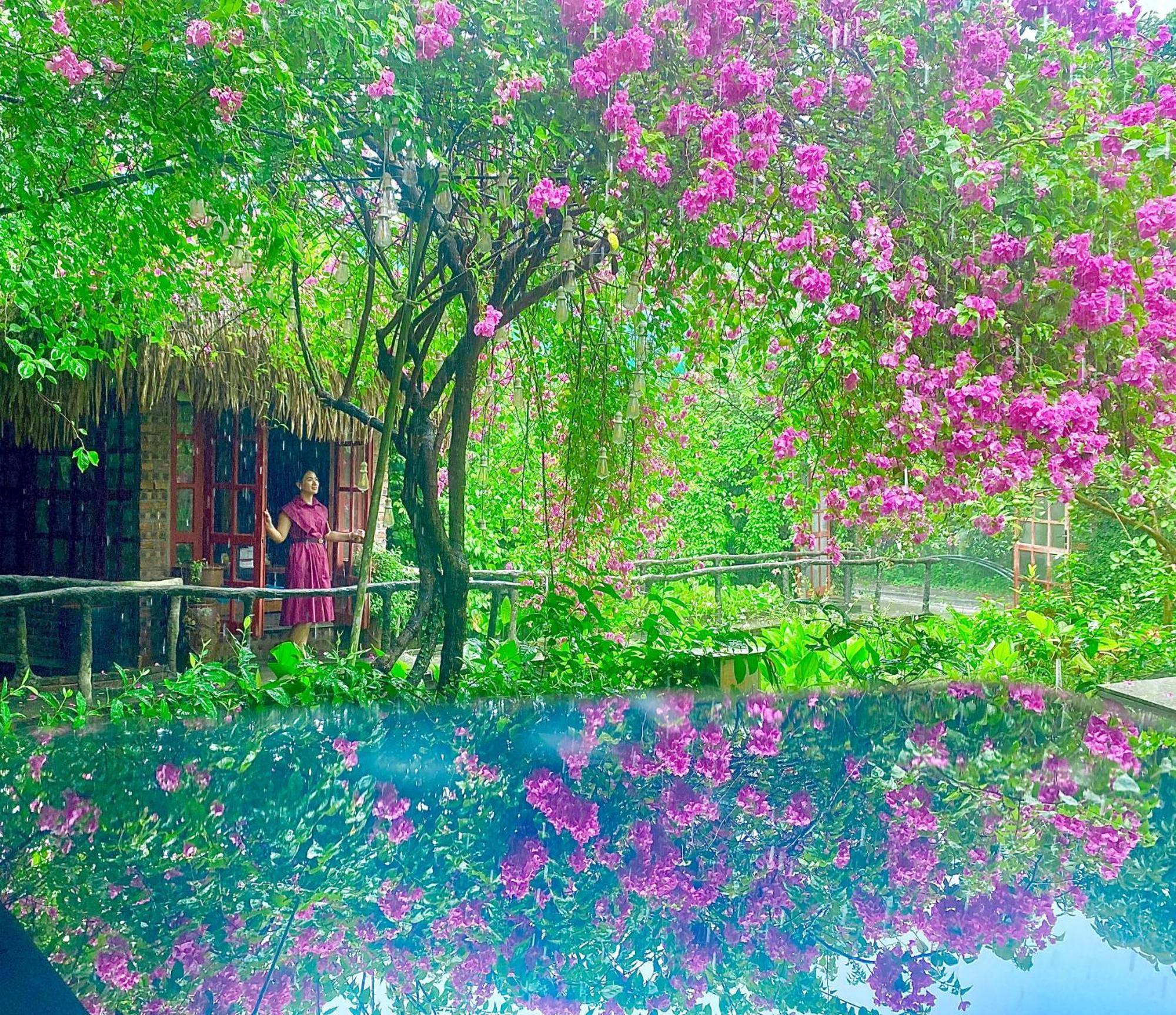 Maison Teahouse Homestay ห่าซาง ภายนอก รูปภาพ